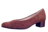 303002 HASSIA BRUIN thumbnail