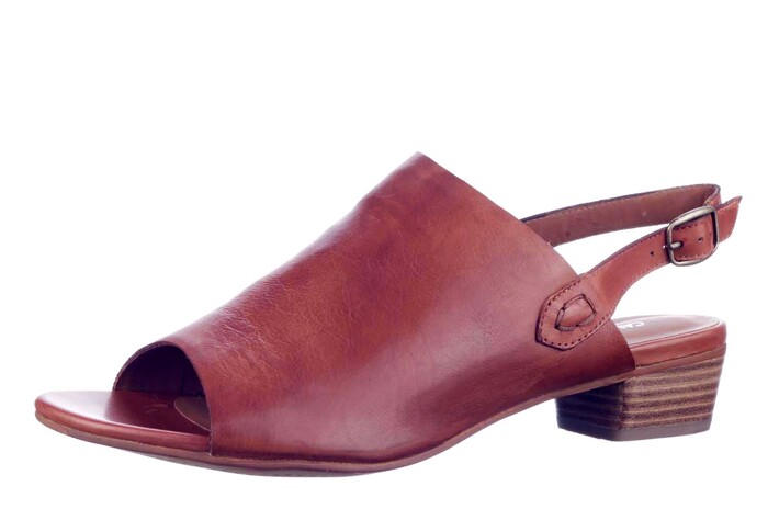 23221 EVERYBODY COGNAC image