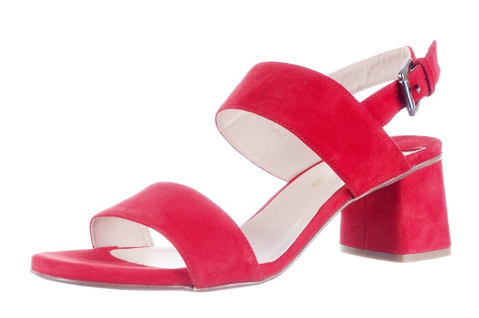 AWEY LAMICA ROOD image