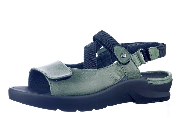 3925 WOLKY GROEN image