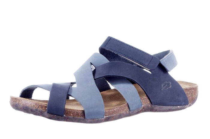 31821 LOINTS BLAUW image