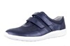687301 K WALDLAUFER BLAUW thumbnail