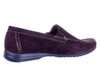 GION H SIOUX BRUIN thumbnail