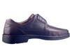 38286 Seibel bruin thumbnail
