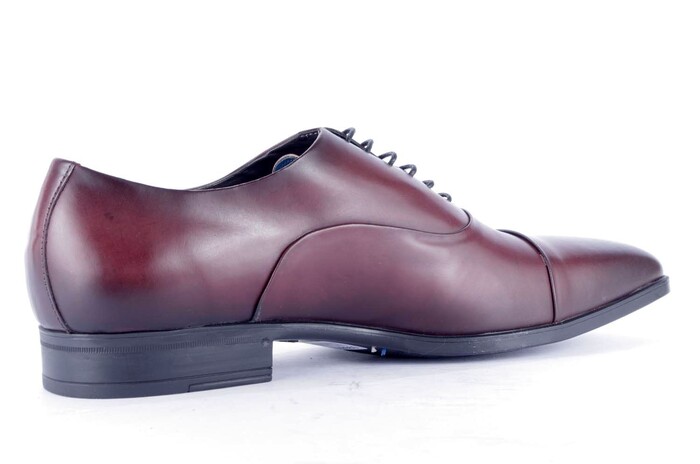 50238 05 GIORGIO BORDEAUX image