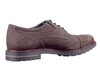 38410 H SIOUX BRUIN thumbnail