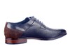 48N BERKELMANS BLAUW. thumbnail