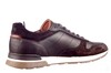 1402 BERKELMANS BRUIN thumbnail