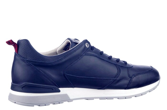 MILTON M NZA BLAUW image