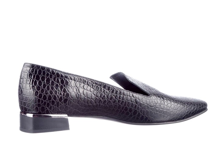 4781 FRANK ZWART LIZARD image