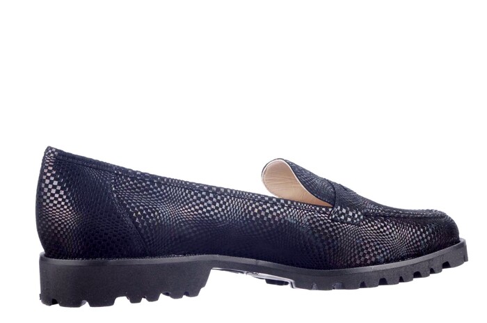 2909 BRUNATE BLAUW image