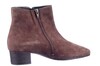 303385 J HASSIA BRUIN thumbnail
