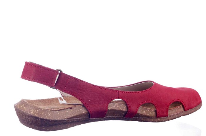 N413 EL NATURALISTA ROOD image
