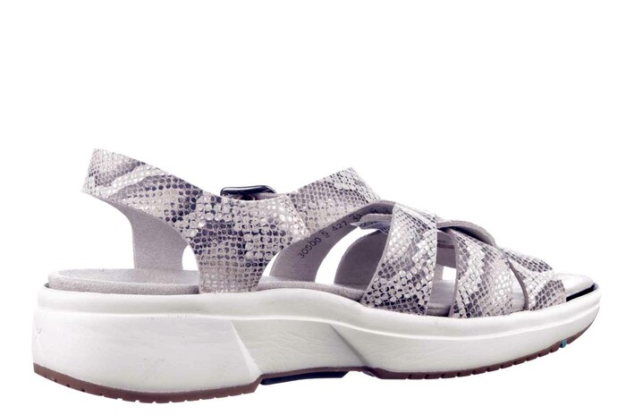 AMBON XSENSIBLE GRIJS SNAKE image