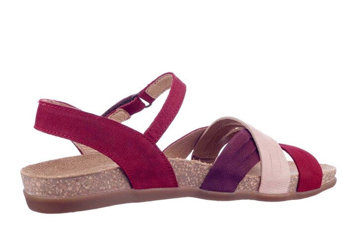 5242 EL NATURALISTA ROOD MIX image