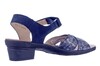 18432 HARTJES BLAUW thumbnail