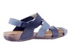 31821 LOINTS BLAUW thumbnail