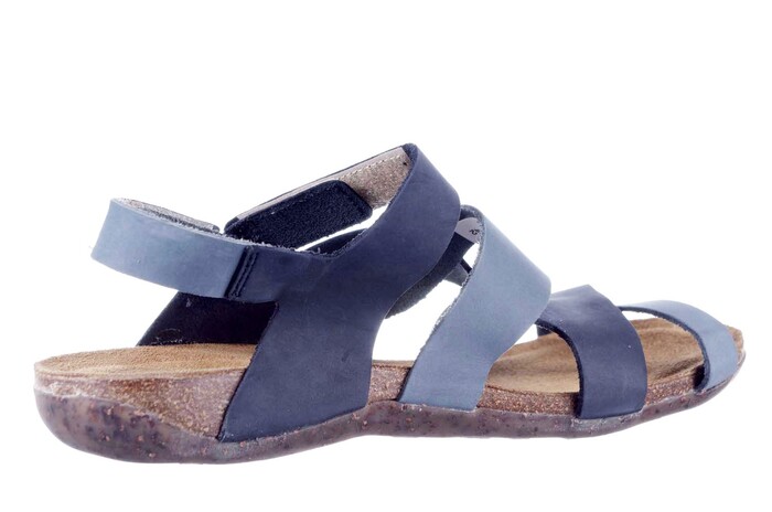 31821 LOINTS BLAUW image
