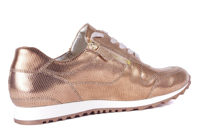 330.1915 HASSIA ROZE/GOUD image