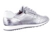 301918 HASSIA ZILVER thumbnail