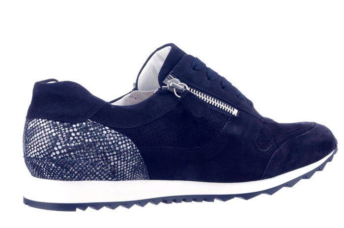 301917 HASSIA BLAUW. image