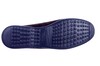 GION H SIOUX BRUIN thumbnail