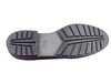 38410 H SIOUX BRUIN thumbnail