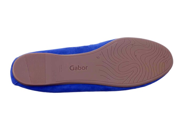 44.120.18 GABOR BLAUW image