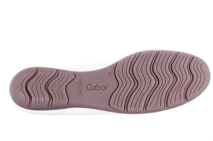 24.169.21 Gabor wit image
