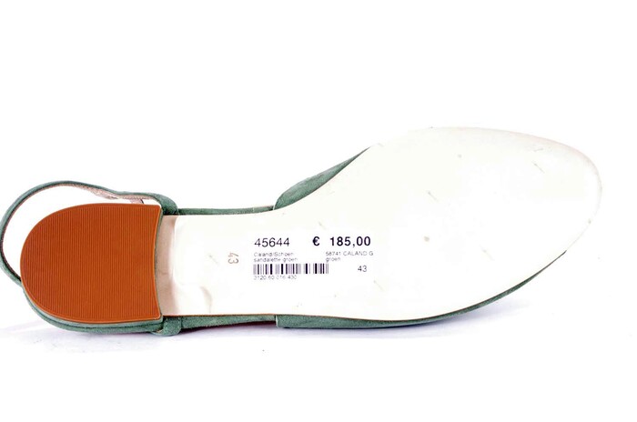 58741 CALAND GROEN image