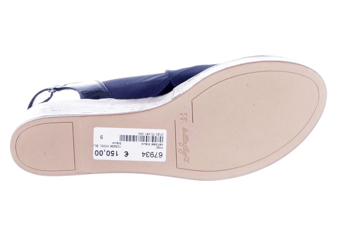 103236 HOGL BLAUW image