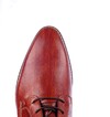 27N BERKELMANS COGNAC thumbnail