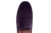 GION H SIOUX BRUIN thumbnail