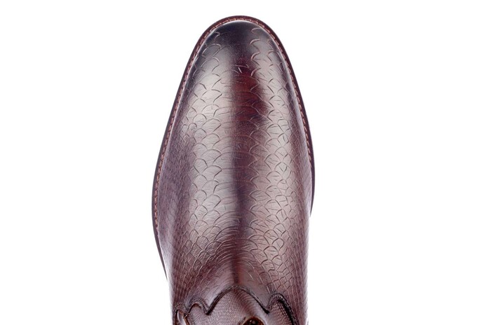 FABBRIZIO AUSTRALIAN BRUIN image