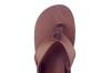 RF00232 REEF BRUIN thumbnail