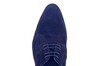 SEBRING  BERKELMANS BLAUW thumbnail
