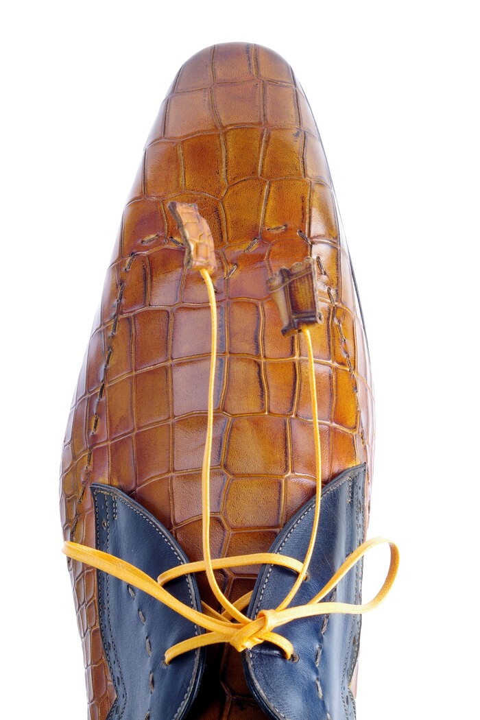 0417 HARRIS BRUIN CROCO image