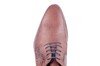 48N BERKELMANS COGNAC thumbnail