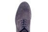 35484 SIOUX BRUIN thumbnail