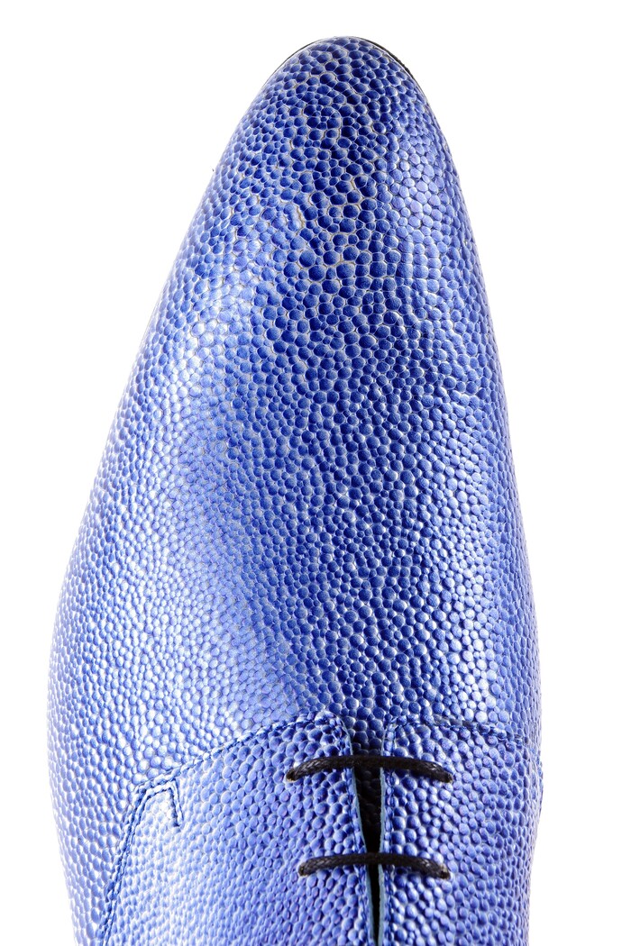 CERULEAN SPLURGE MASCOLORI image