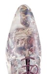 MASCOLORI RUBENS thumbnail