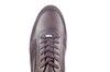 1402 BERKELMANS BRUIN thumbnail