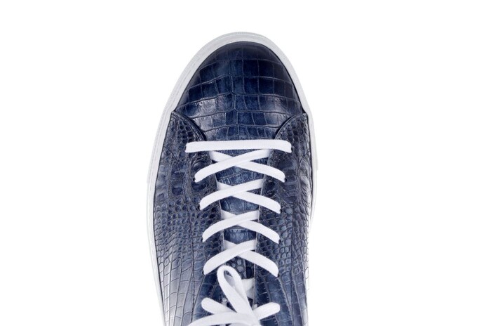 980101 GIORGIO BLAUW image