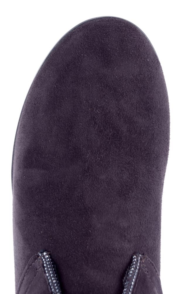 38.673 DC BRUIN image