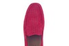 CORTIZIA H SIOUX ROOD thumbnail
