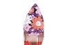 60501 CALANDSCHOEN ORANJE COMBI thumbnail
