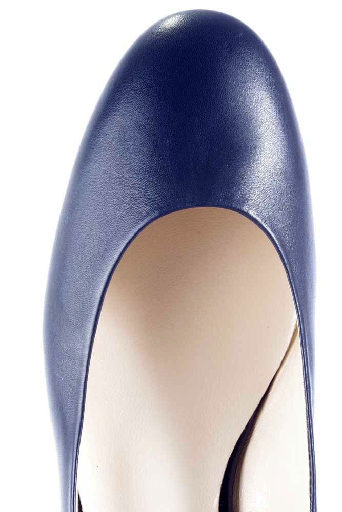 183000 HOGL BLAUW image