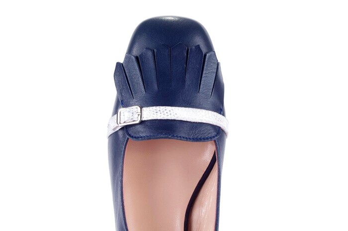 1409 ROBERTO BLAUW image