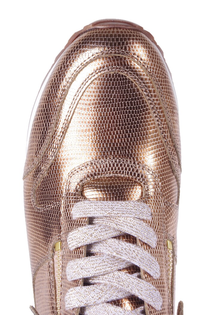 330.1915 HASSIA ROZE/GOUD image