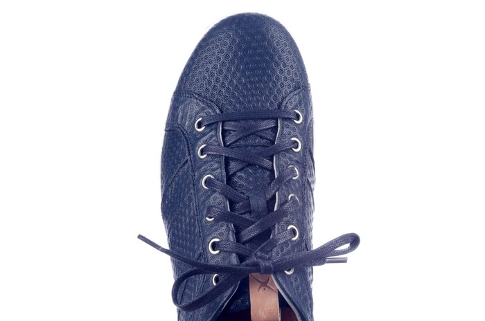 TOULOUSE XSENSIBLE BLAUW image